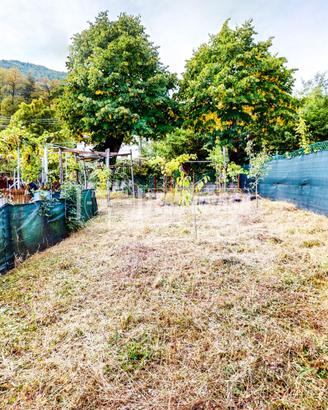 BILOCALE CON GIARDINO TAVERNETTA, CANTINA E PERGOL