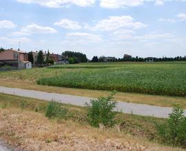 Terreno Residenziale Villamarzana [RO2904VRG]