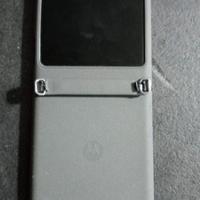 Motorola raz