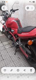 Motociclo