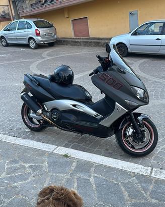 Tmax 500