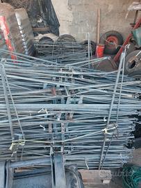 Pergole per impianto kiwi