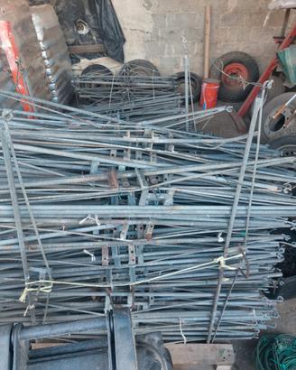 Pergole per impianto kiwi