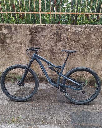 Mtb Rockrider AM50 taglia L