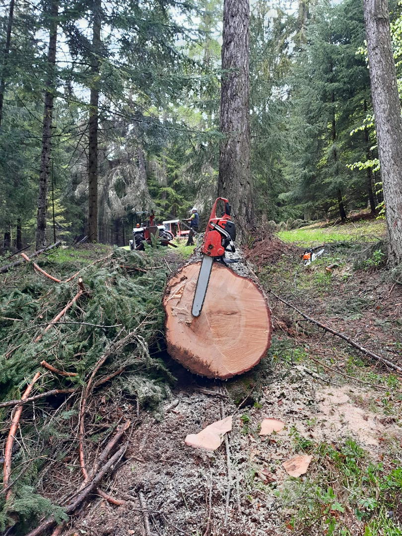 2 sacchetti XL in feltro per legna da ardere, cestino per la spesa con