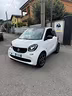 smart-453-benzina-euro-6-b-neopatentati