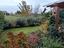 Immagine 14