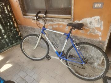 bicicletta mountainbike
