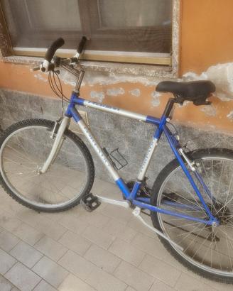 bicicletta mountainbike