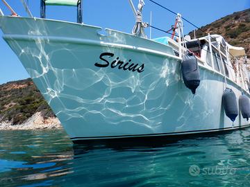 Navetta Olandese in Acciaio 9.5m