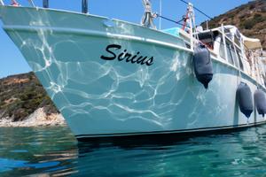 Navetta Olandese in Acciaio 9.5m