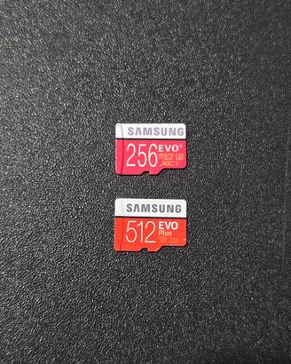 SAMSUNG EVO PLUS 512GB + 256GB U3 XC-I MicroSD