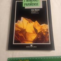 i minerali del parmense Aldo Moroni parma CHA