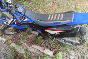 Yamaha WR 125