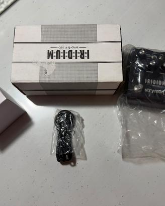 Strymon iridium