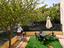 Immagine 25