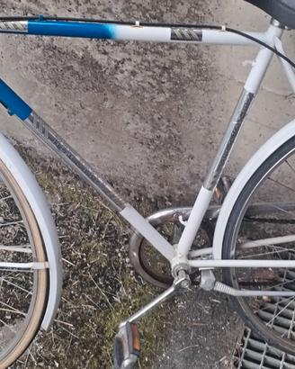 Bicicletta unisex