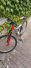 Bicicletta ragazzino 8/12 anni taglia 24