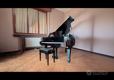 Pianoforte a coda Hyundai Seoul 170 cm funzionante