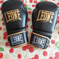 guantoni boxe,  muay thai nuovi