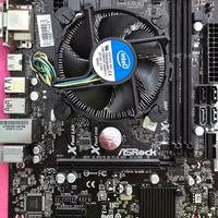 Scheda Madre Asus H81M-HDS