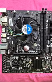 Scheda Madre Asus H81M-HDS