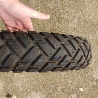 gomma semitasselata r18