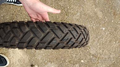 gomma semitasselata r18