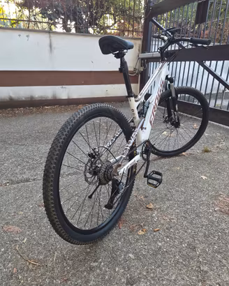 Mountain bike