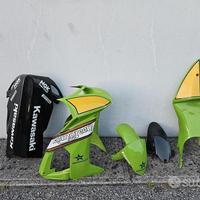 Kawasaki ZX10R Kit Carene