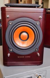 JVC WOODCONE