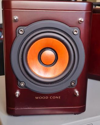 JVC WOODCONE
