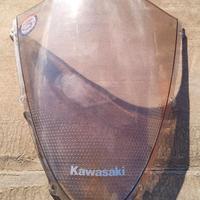 Cupolino Kawasaki Ninja Zx6r 2007-2008