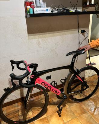 Cipollini