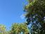 Immagine 11