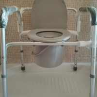 Sedia wc anziani/disabili