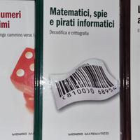 4 libri collana mondo matematico
