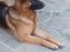 Immagine 2