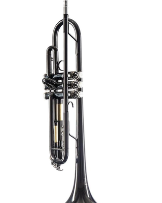 Tromba monzani