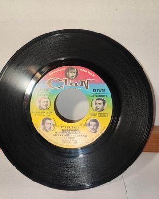 Adriano Celentano: È inutile davvero, Il problema