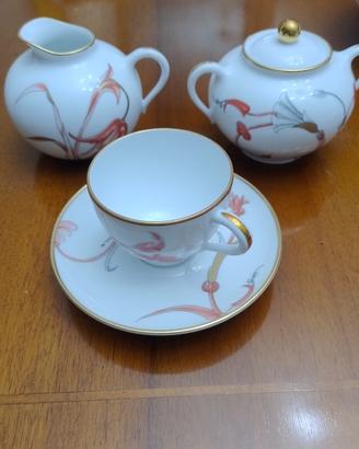 Richard Ginori "Giò Ponti" servizio caffè da 12.