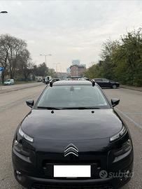 C4 Cactus idonea per Neopatentati