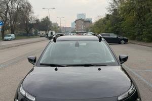 C4 Cactus idonea per Neopatentati