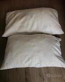 2 cuscini usati