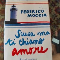 Libro Federico Moccia 