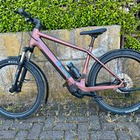 Bicicletta E-Bike Trekking - Canyon Pathlite