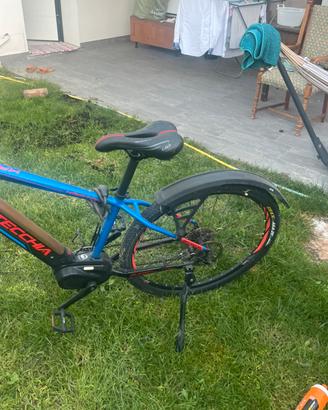 Bici Elettrica Bottecchia seminuova