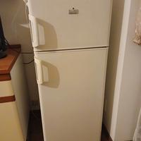 Frigorifero Electrolux Rex 230 L