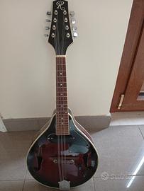 Mandolino elettrificato usato, 