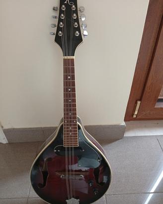 Mandolino elettrificato usato, 